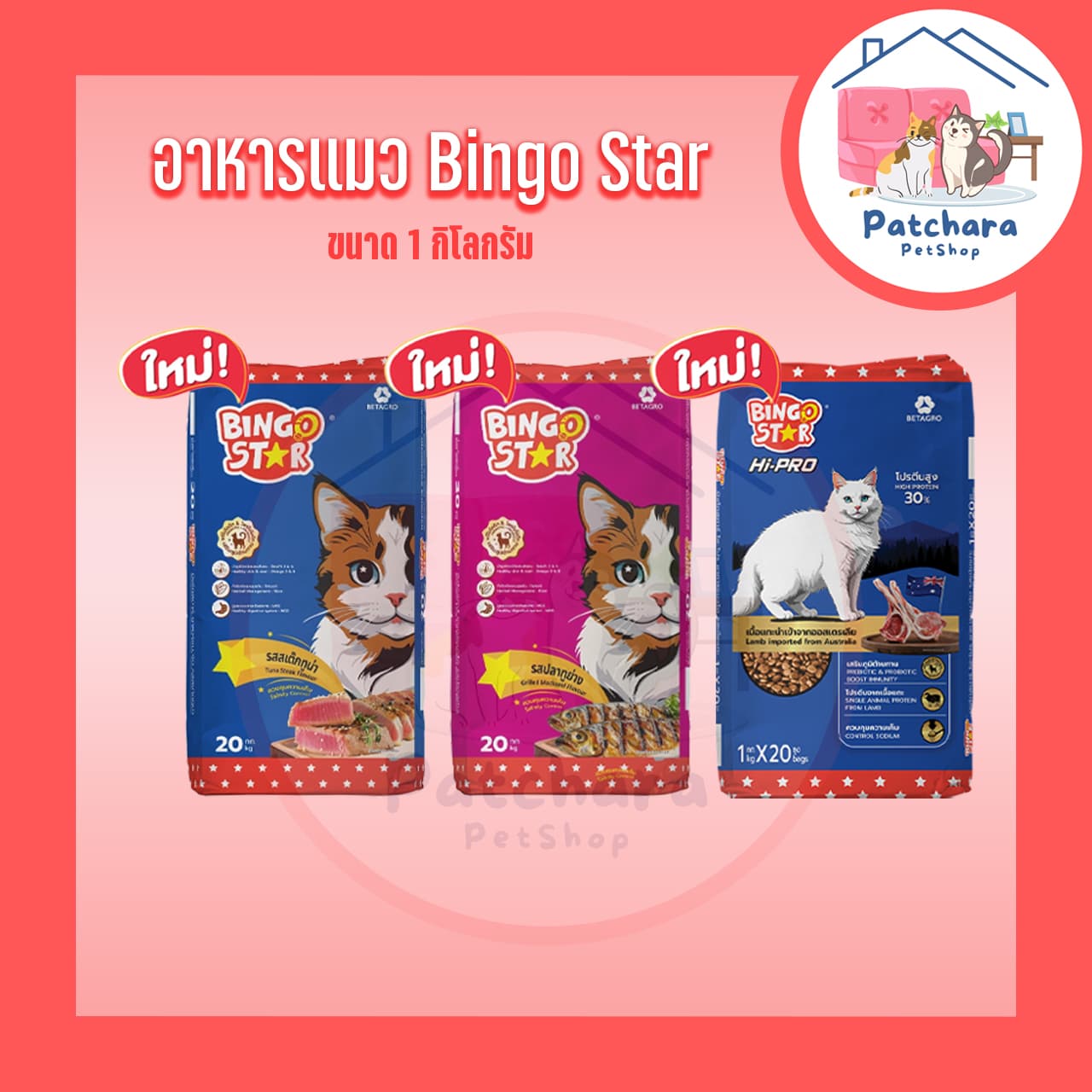Bingo Star อาหารแมว บิงโกสตาร์ ขนาด 1 กิโลกรัม